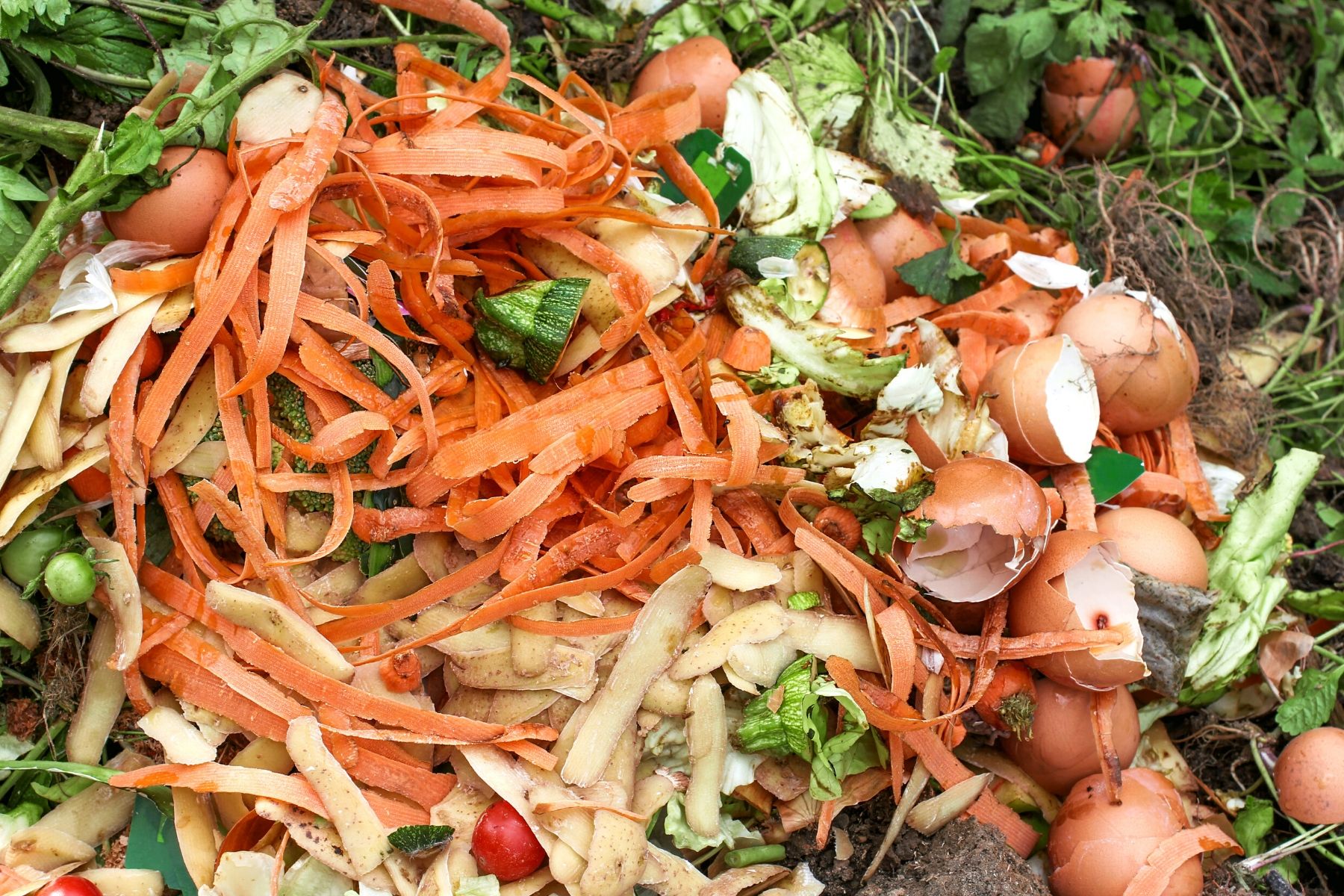 Giving Food Waste a Second Life | Clean Water Action